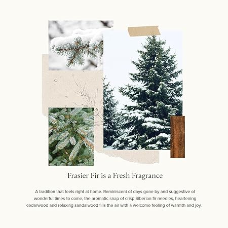 Frasier Fir Pine Needle Reed Diffuser