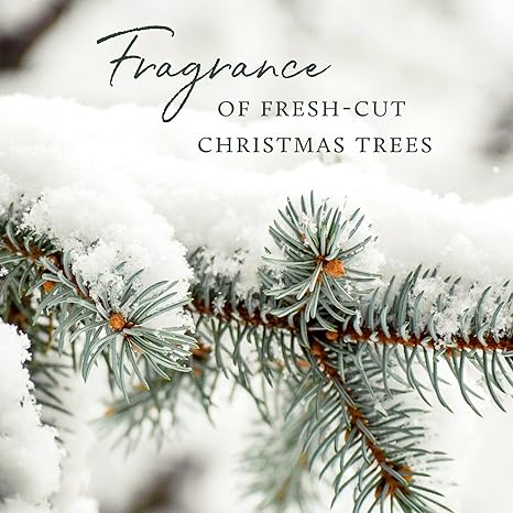 Frasier Fir Pine Needle Reed Diffuser